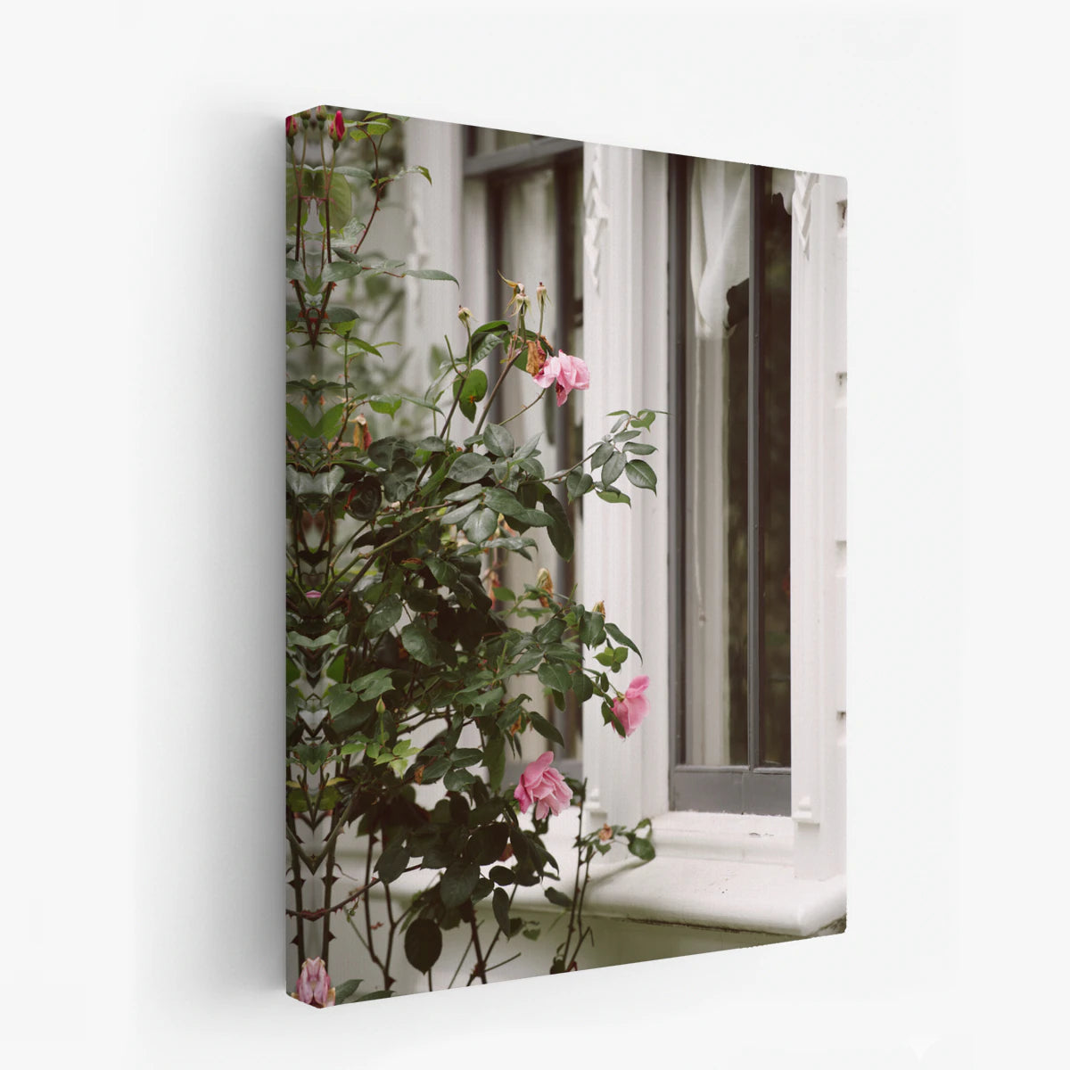 canvas-art