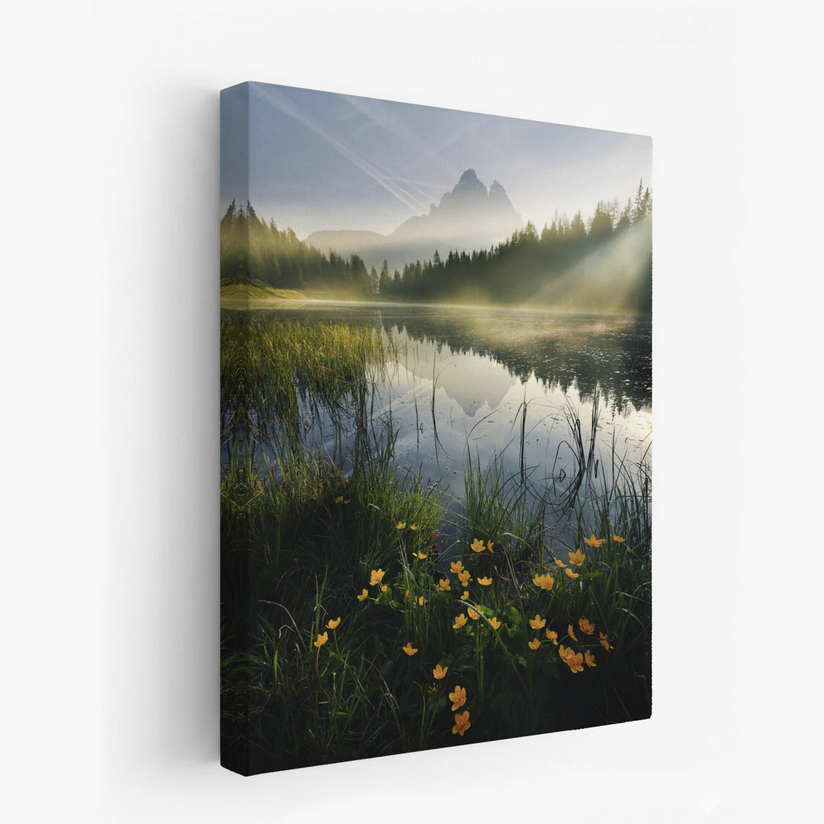 canvas-art