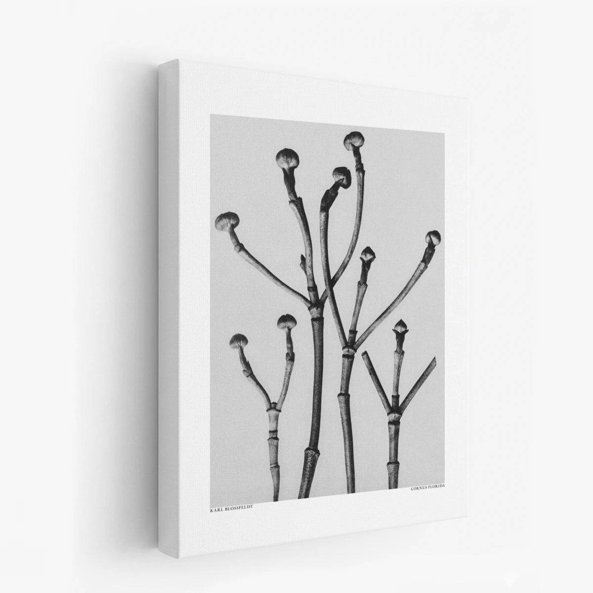 canvas-art
