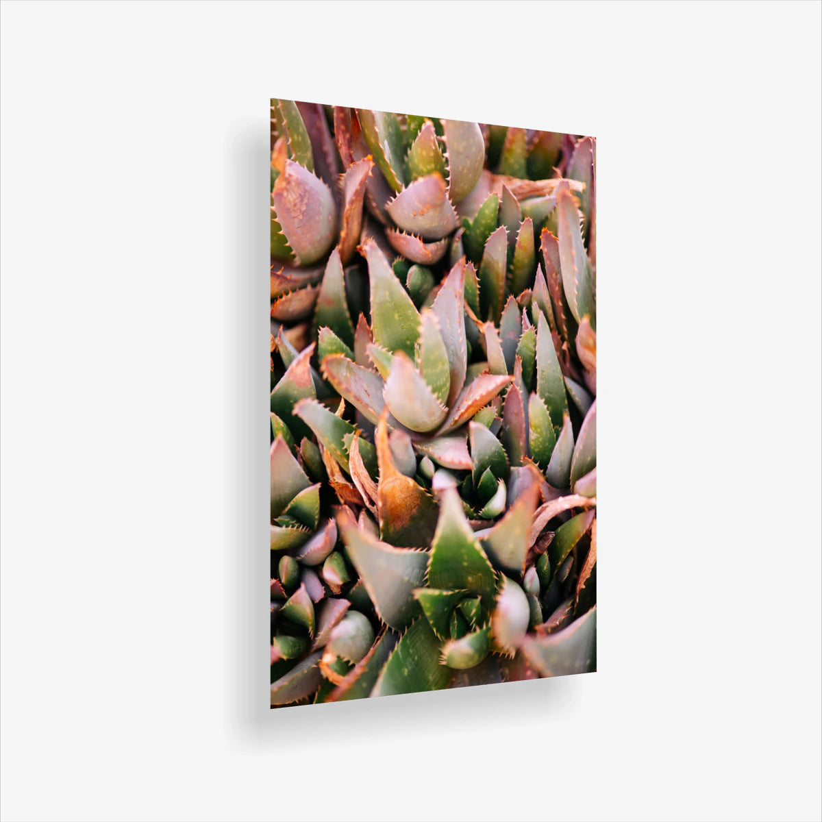 hd-metal