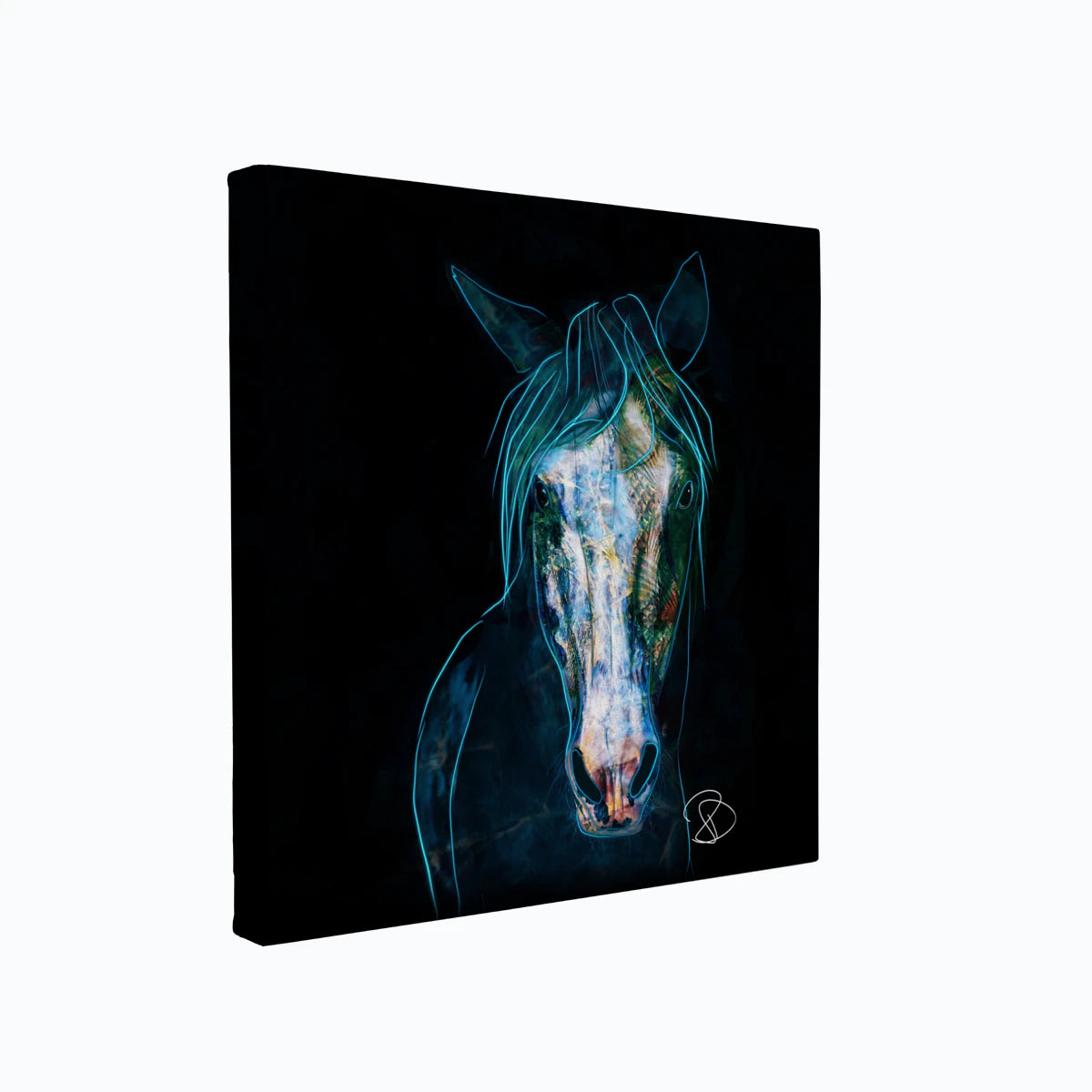 canvas-art