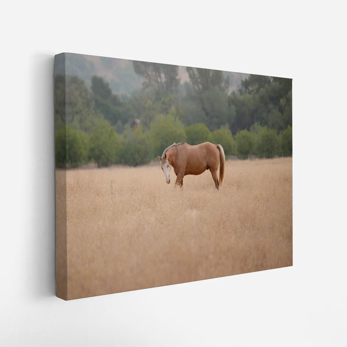 canvas-art