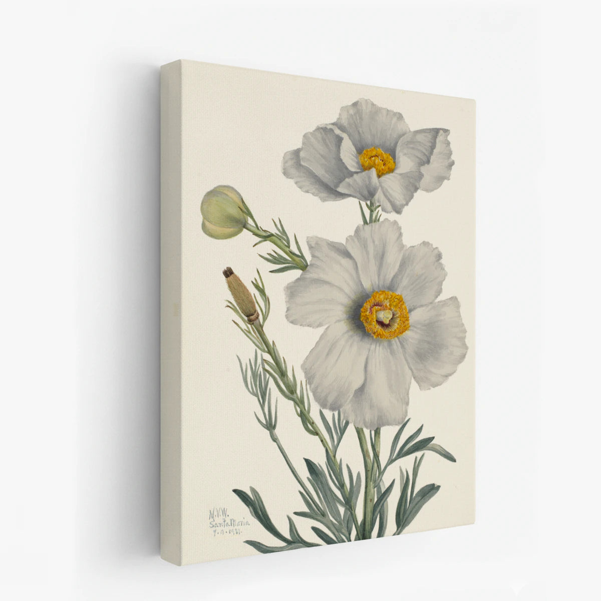 canvas-art
