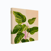 canvas-art