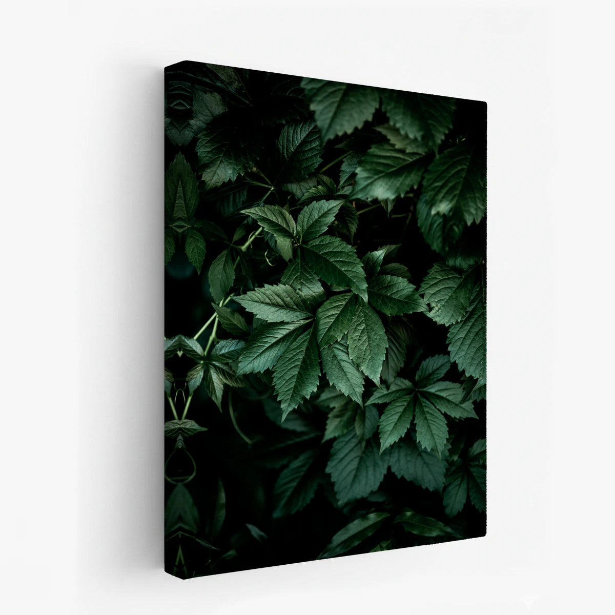 canvas-art