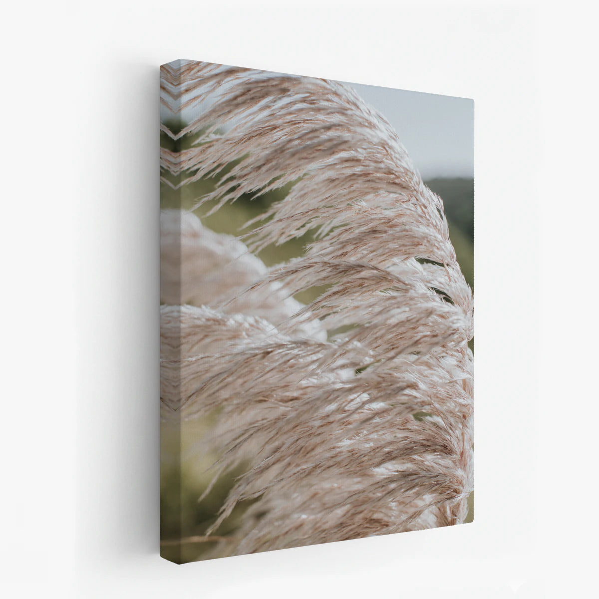 canvas-art
