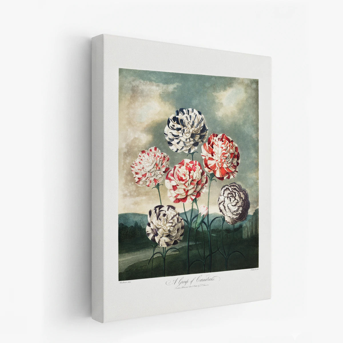 canvas-art