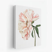 canvas-art