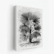 canvas-art