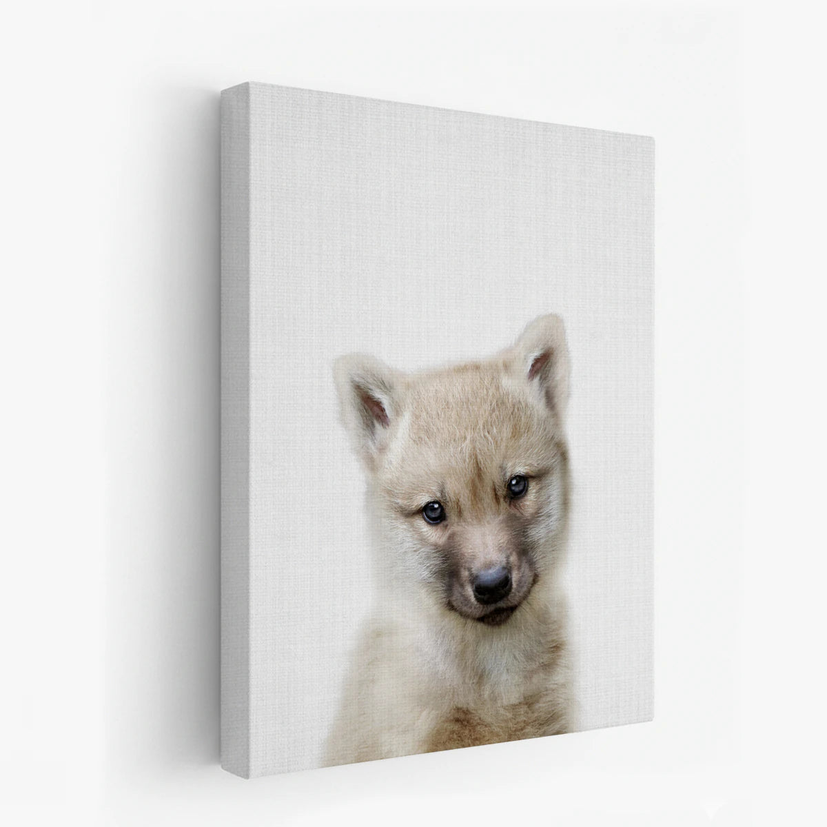 canvas-art