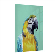 acrylic