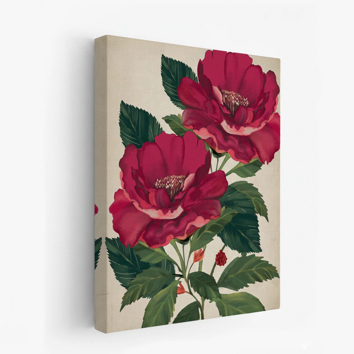 canvas-art