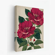 canvas-art