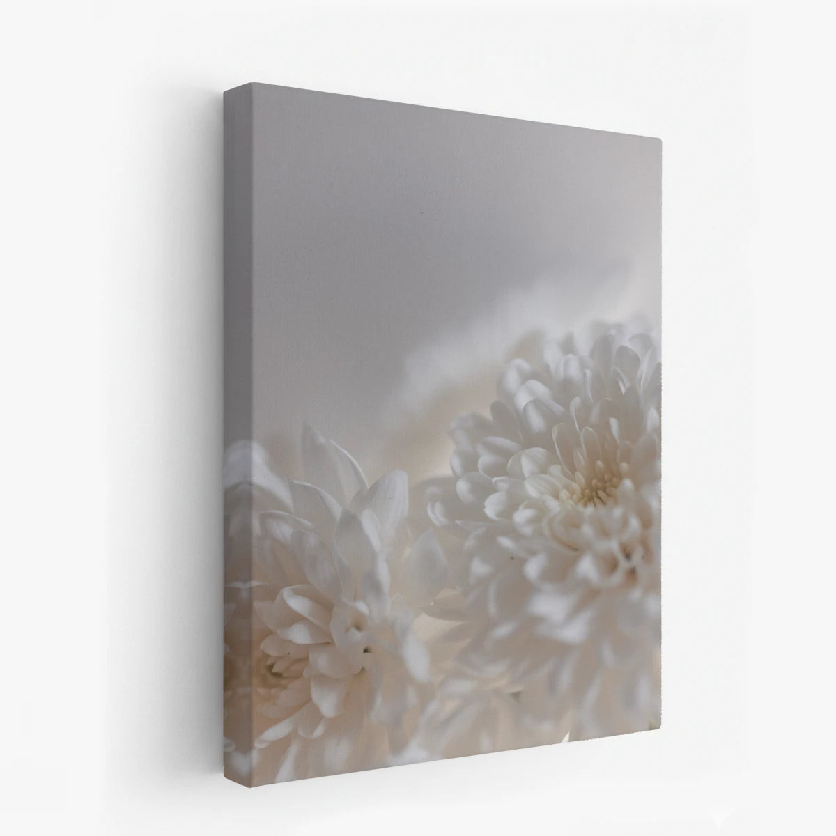 canvas-art