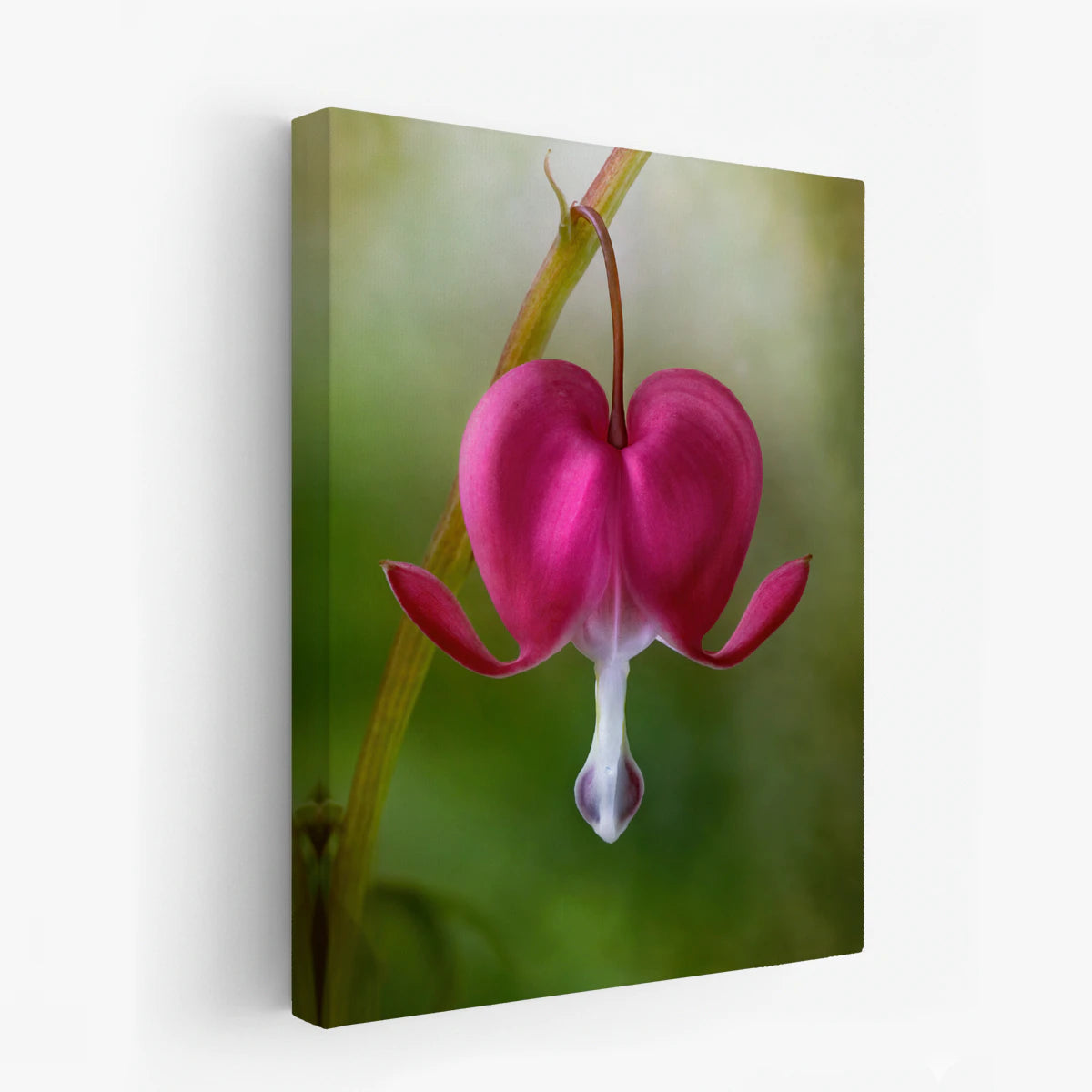canvas-art