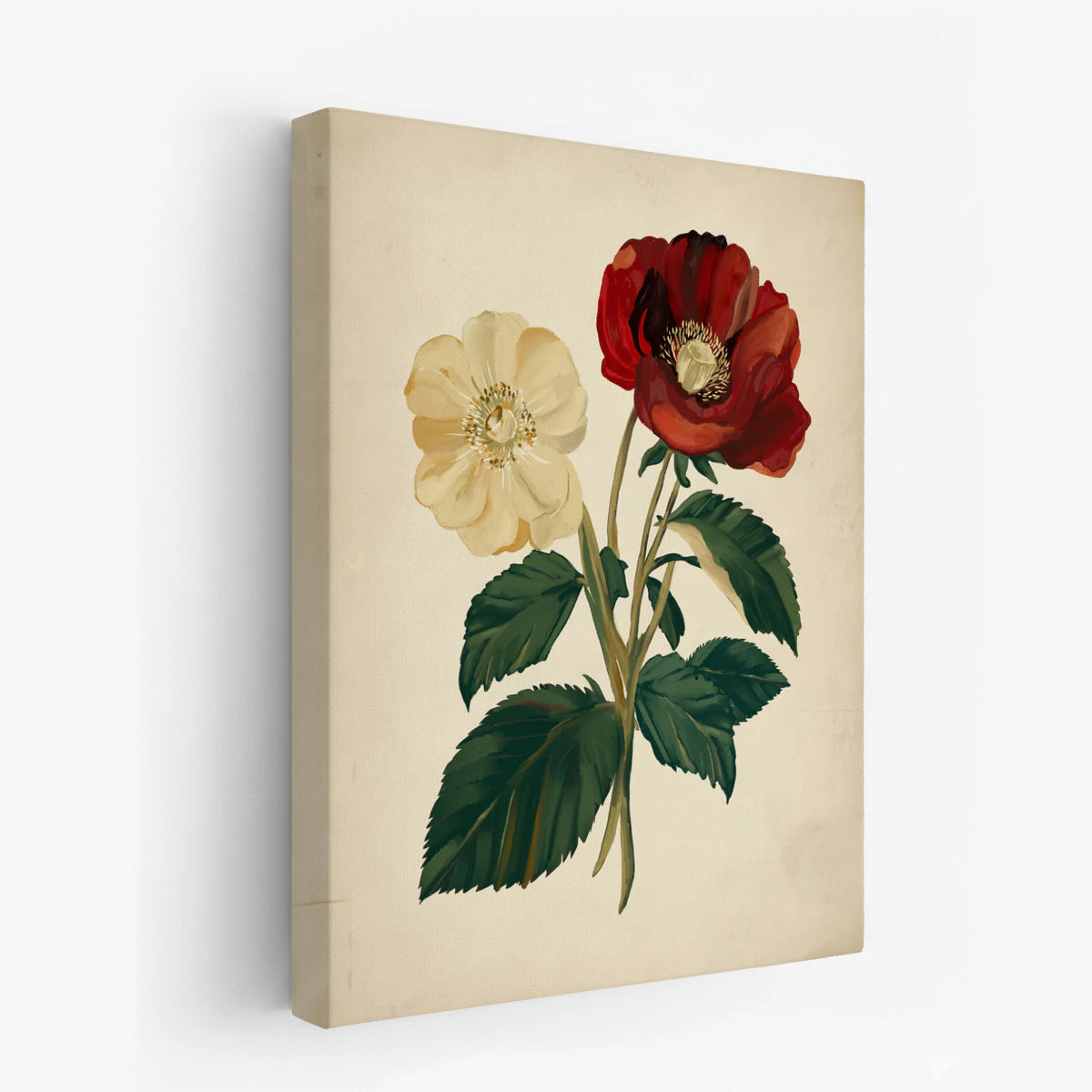 canvas-art