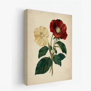 canvas-art