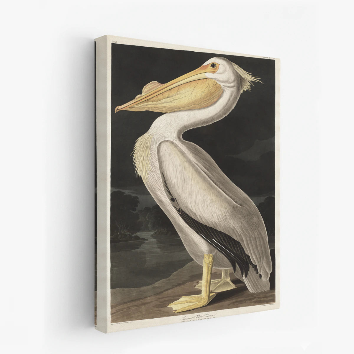 canvas-art