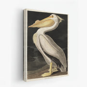 canvas-art