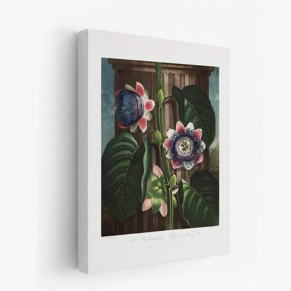 canvas-art