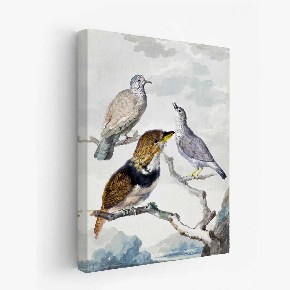 canvas-art