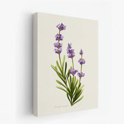 canvas-art