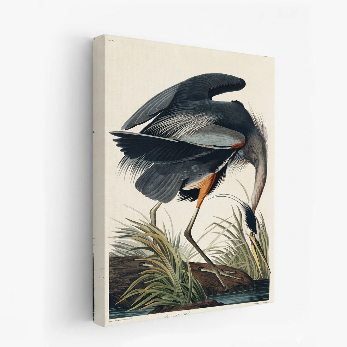 canvas-art