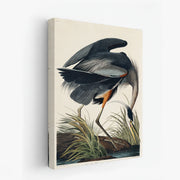 canvas-art