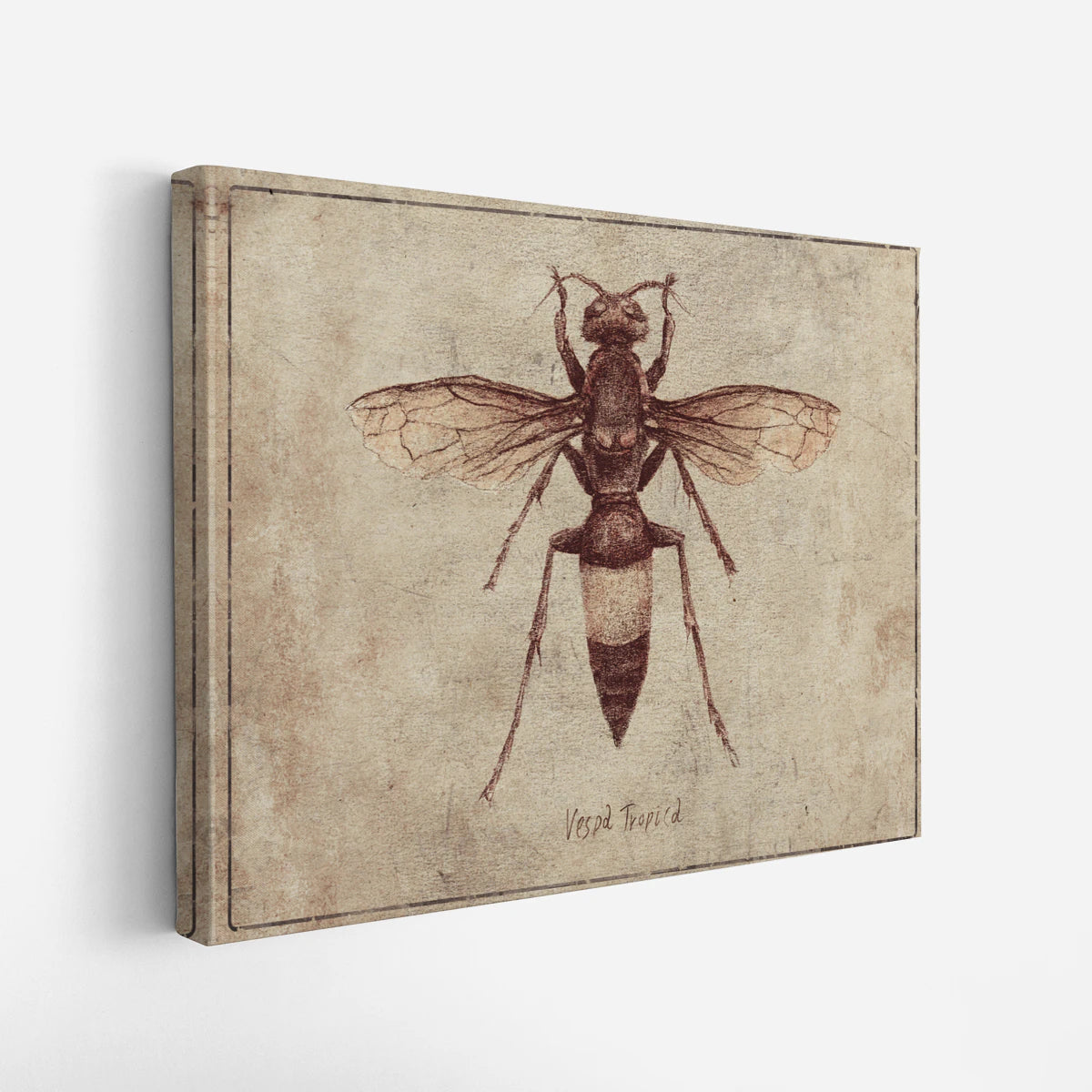 canvas-art