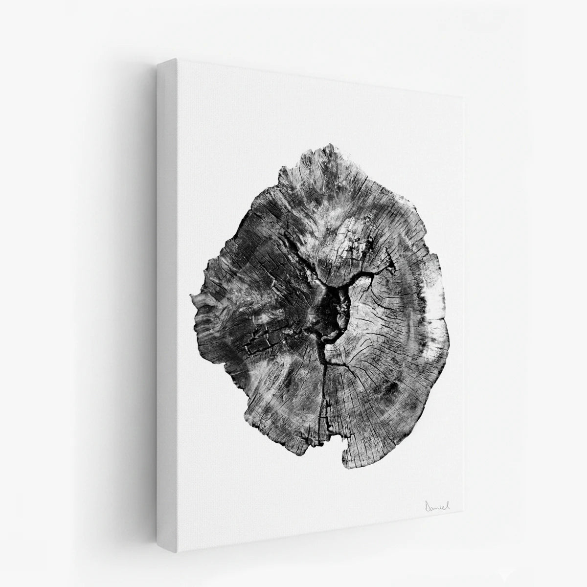 canvas-art