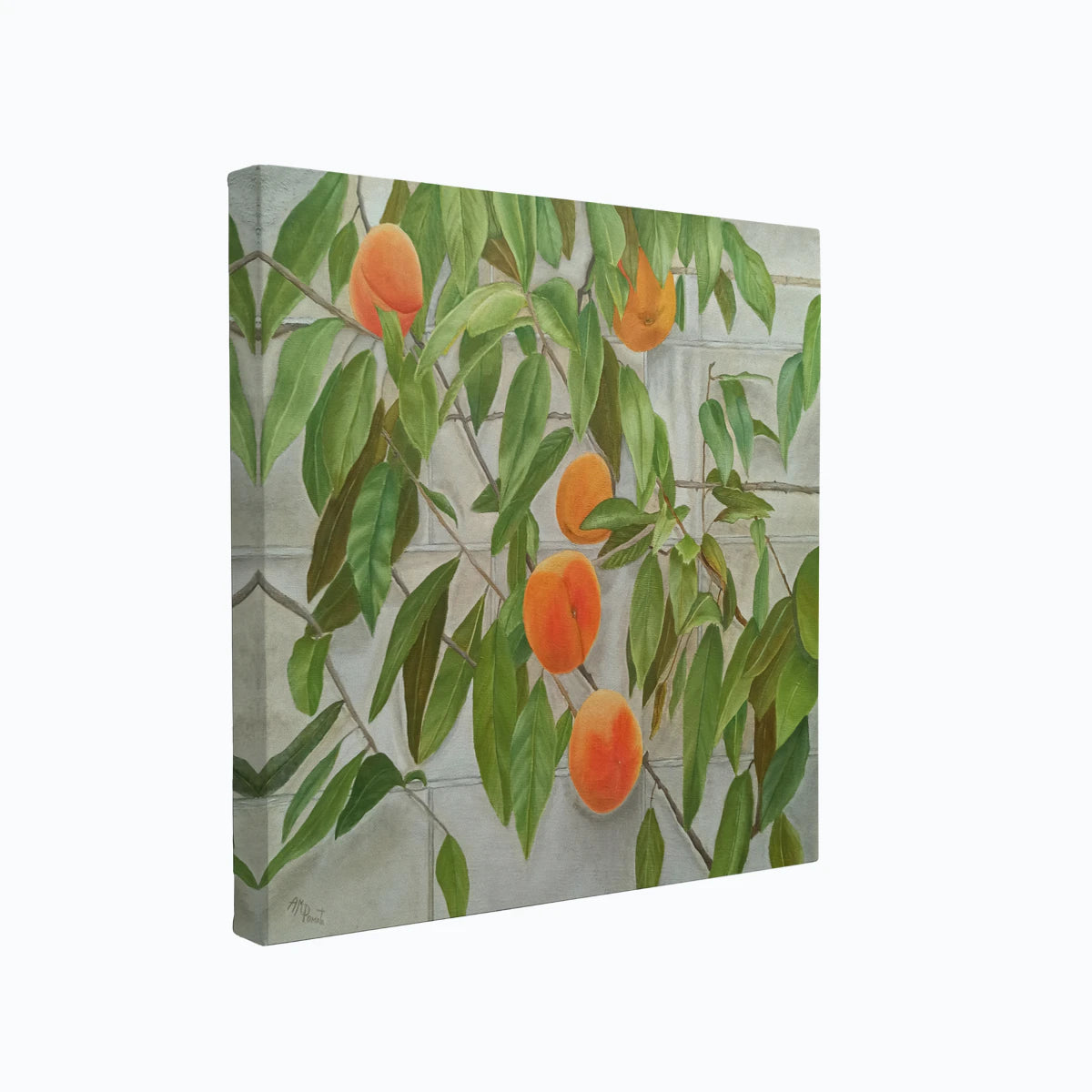 canvas-art