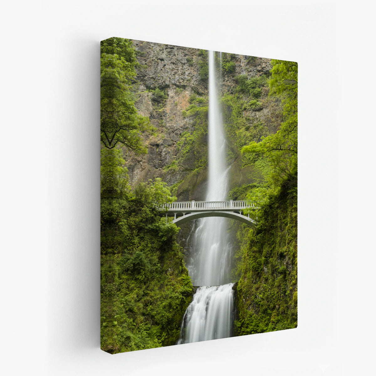 canvas-art