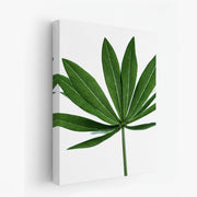 canvas-art