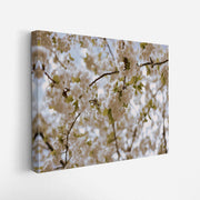 canvas-art