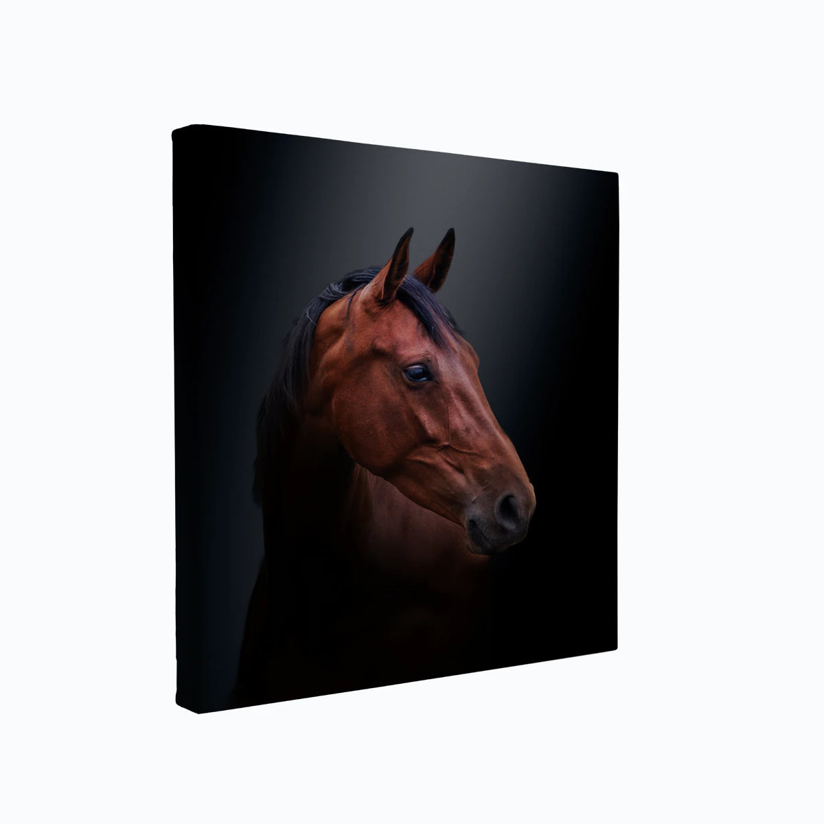 canvas-art