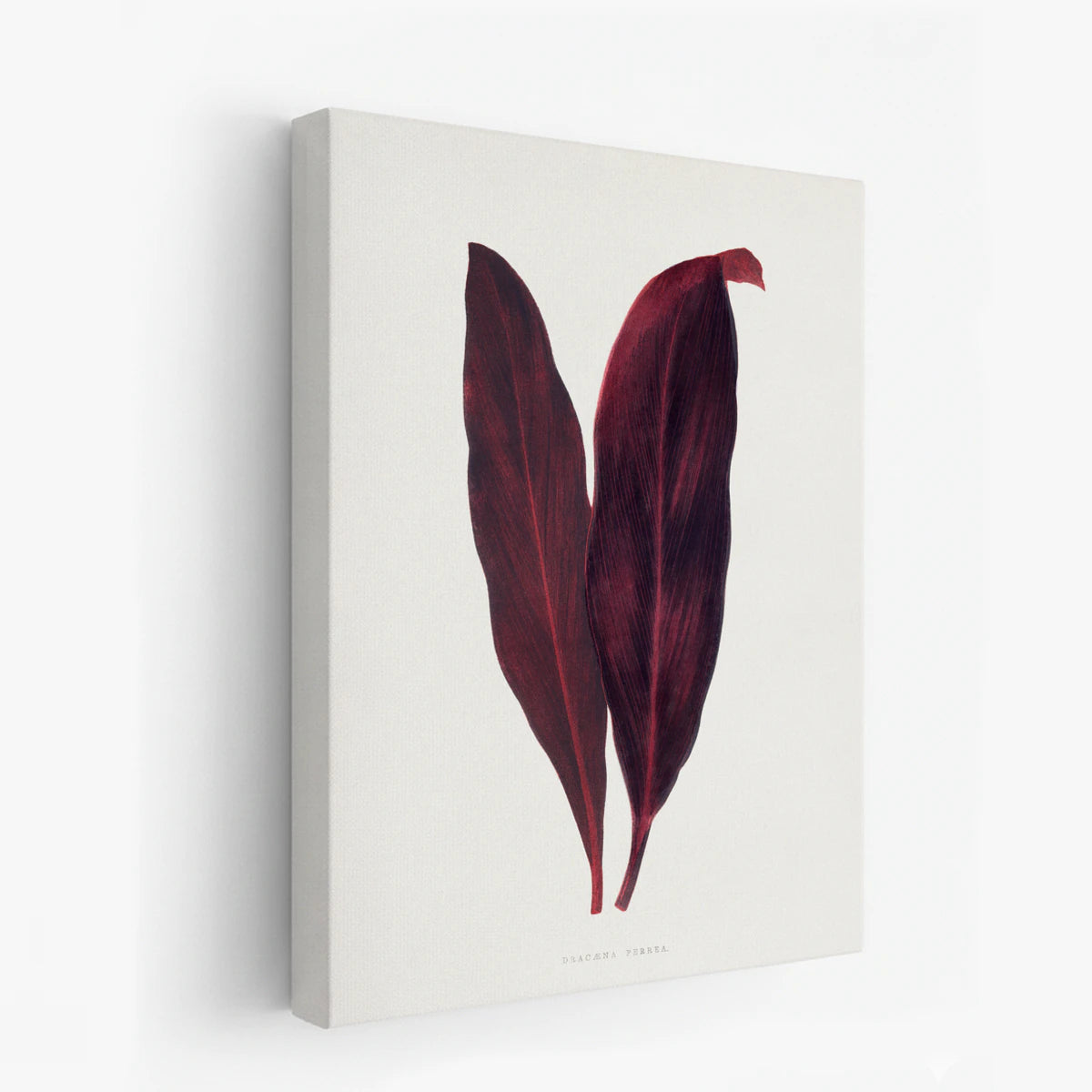 canvas-art
