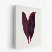 canvas-art