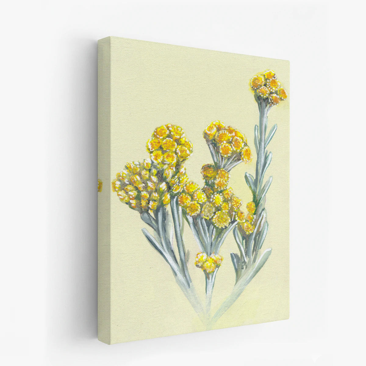 canvas-art