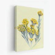 canvas-art