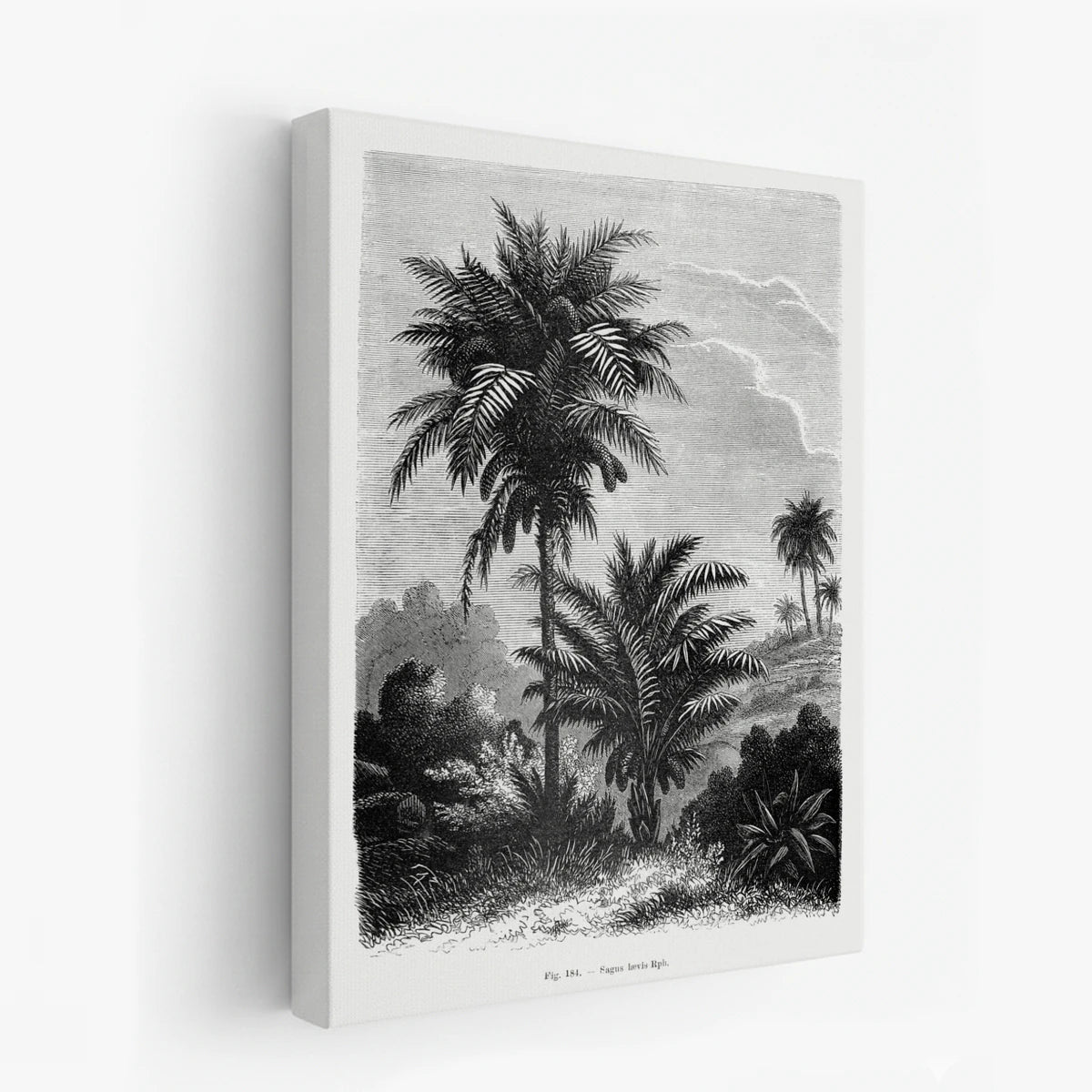 canvas-art