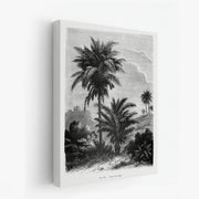 canvas-art
