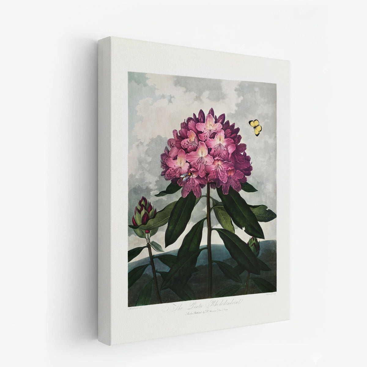 canvas-art