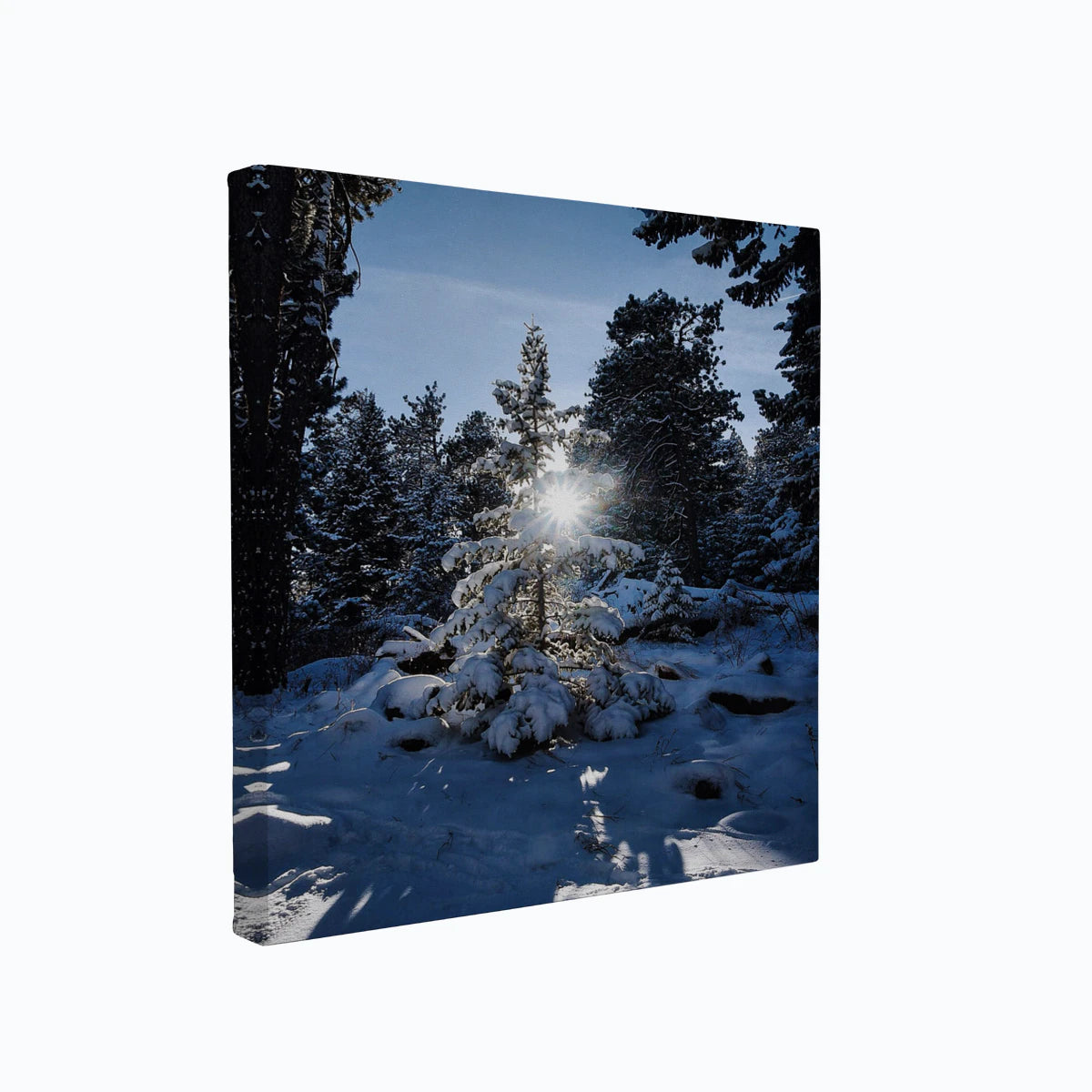 canvas-art
