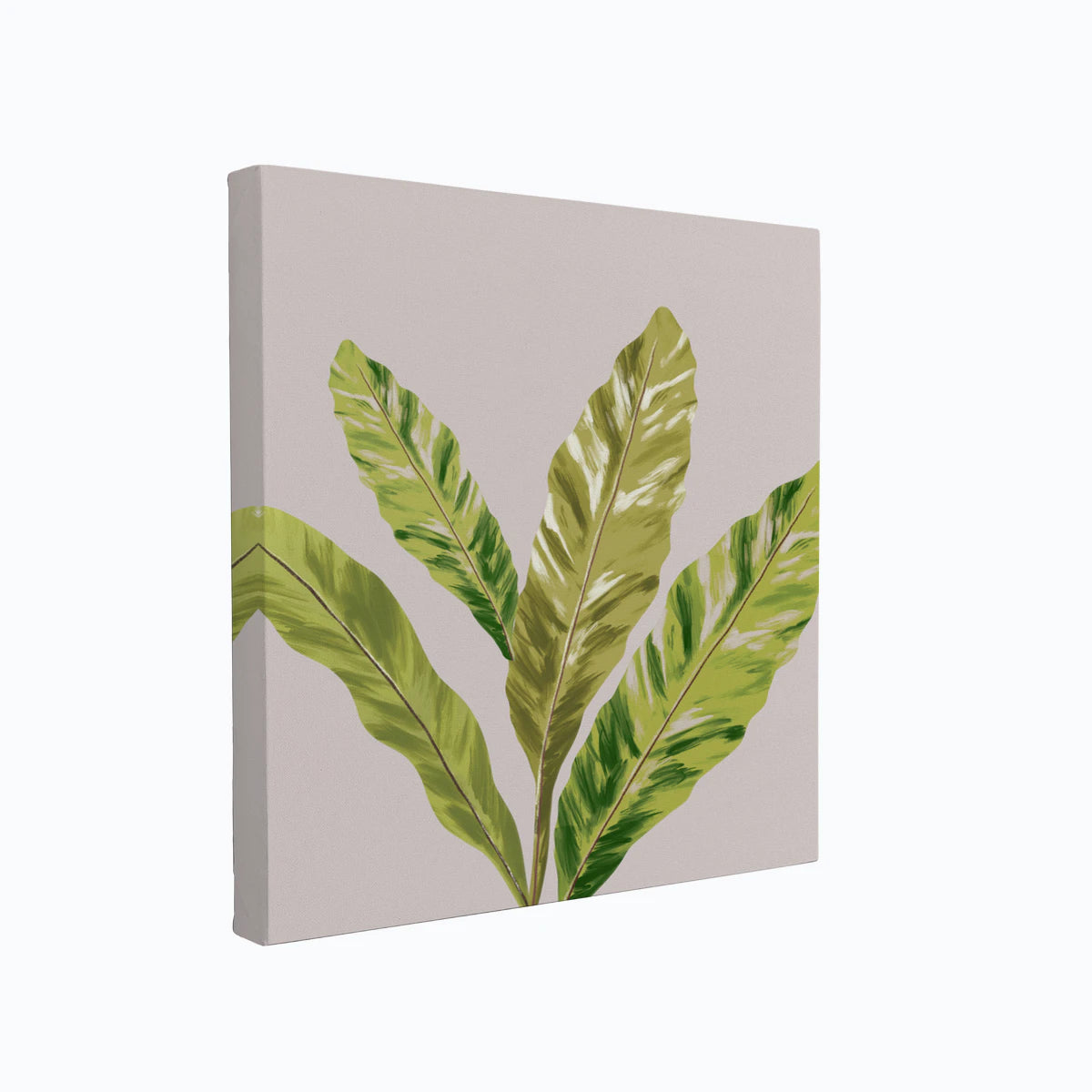 canvas-art