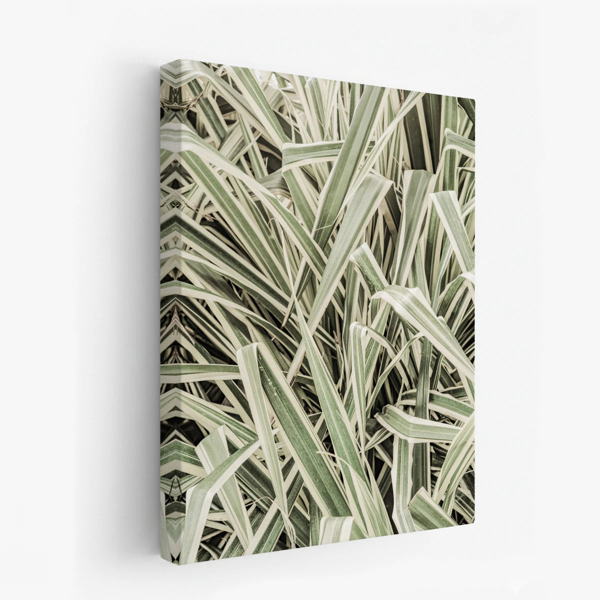 canvas-art