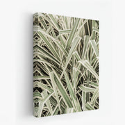 canvas-art