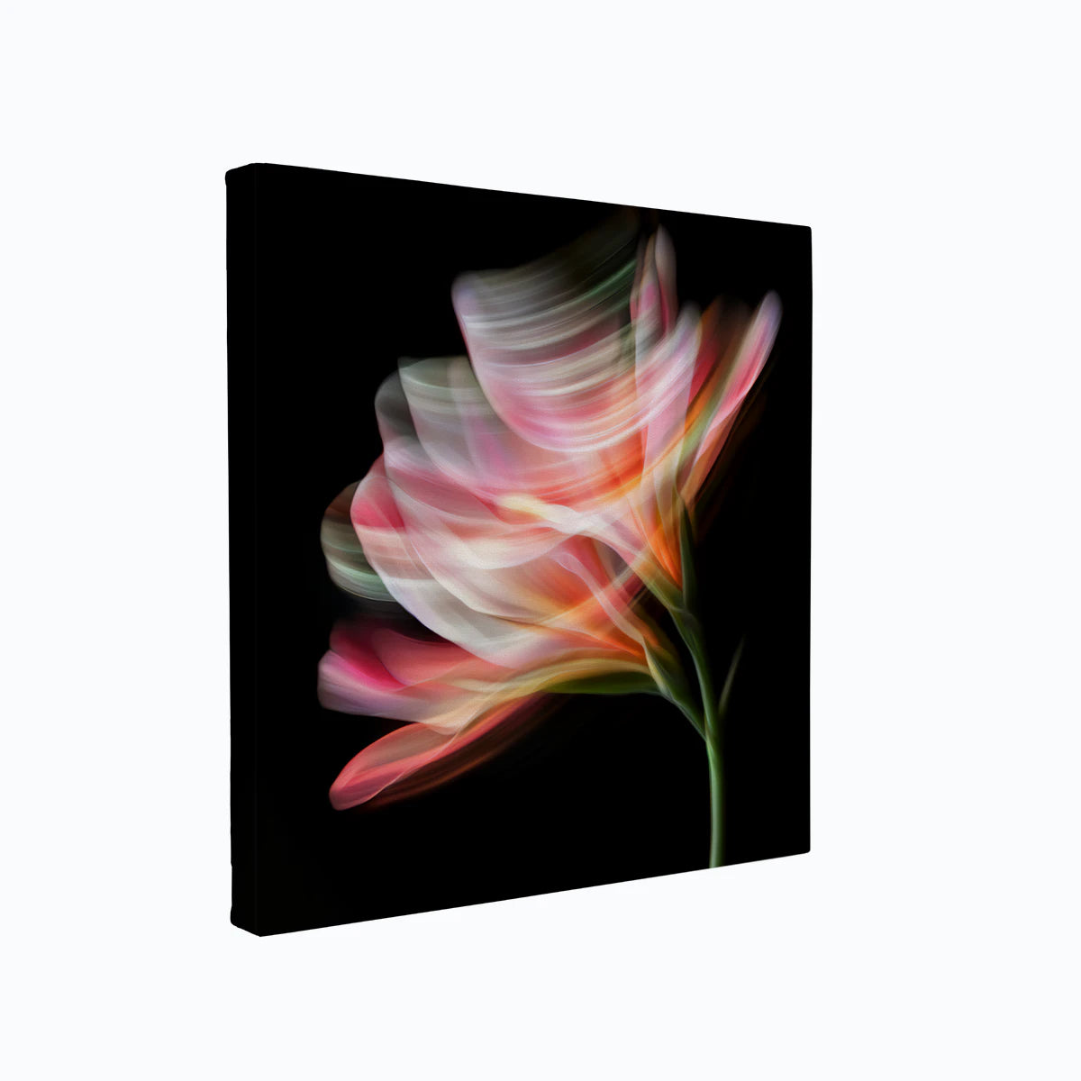 canvas-art