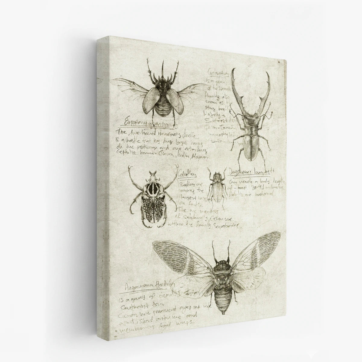 canvas-art
