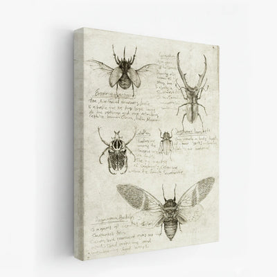 canvas-art