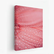 canvas-art